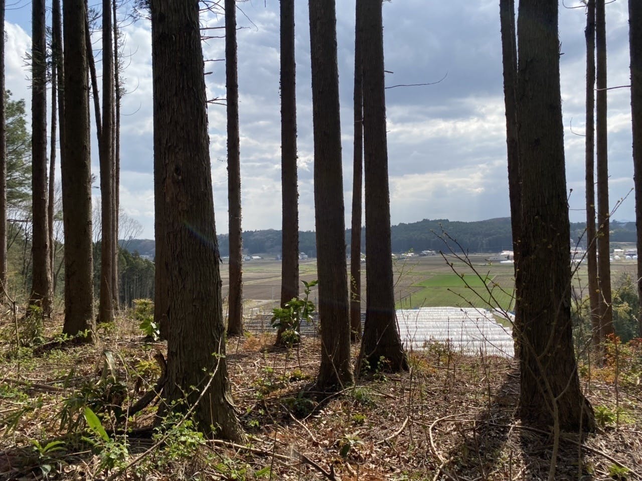 5番目のメイン画像