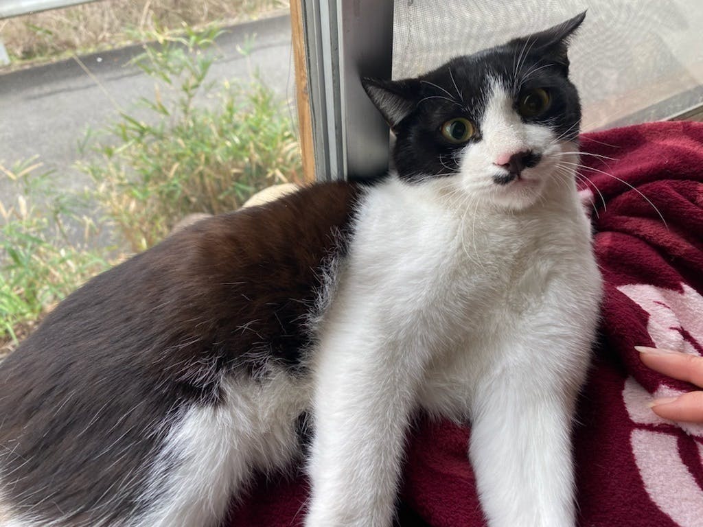 5番目のメイン画像