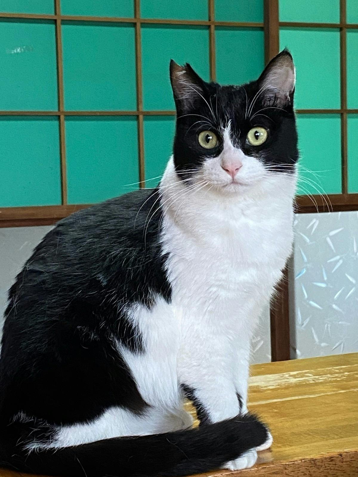 2番目のメイン画像