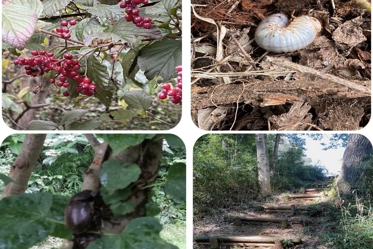 4番目のメイン画像