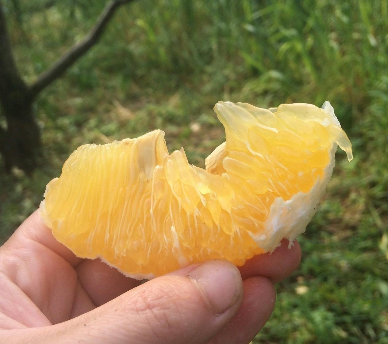 4番目のメイン画像