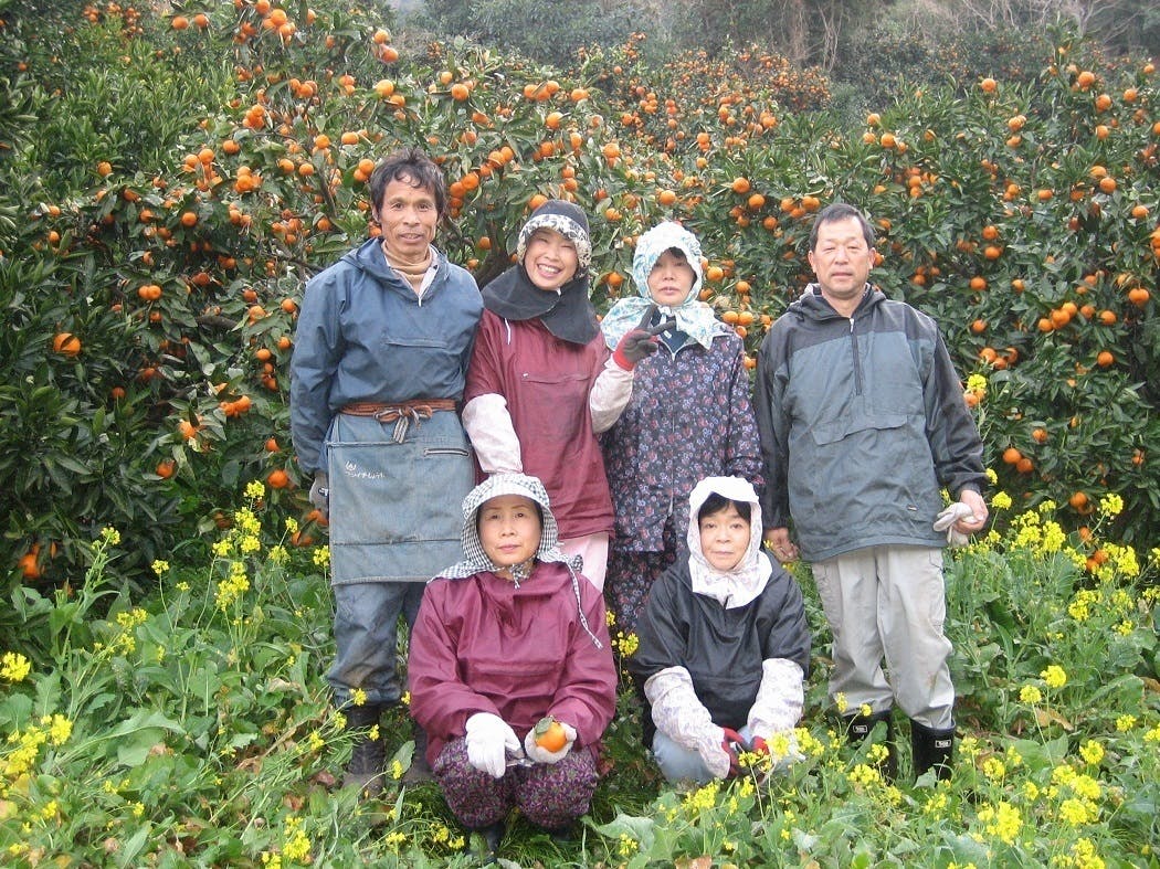 4番目のメイン画像