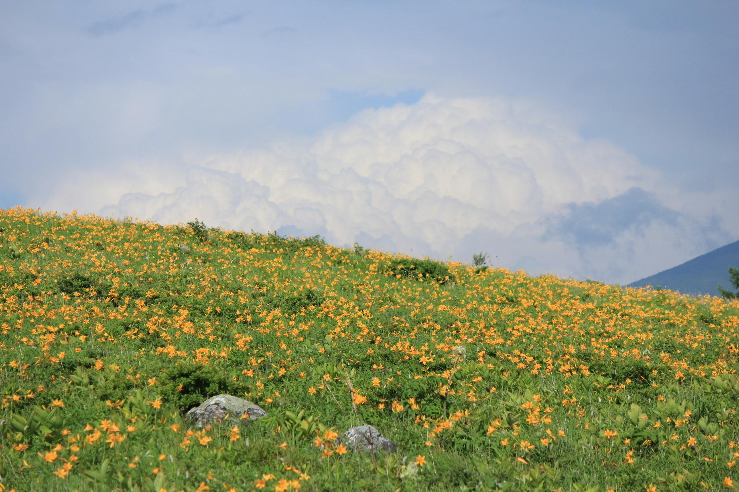 2番目のメイン画像