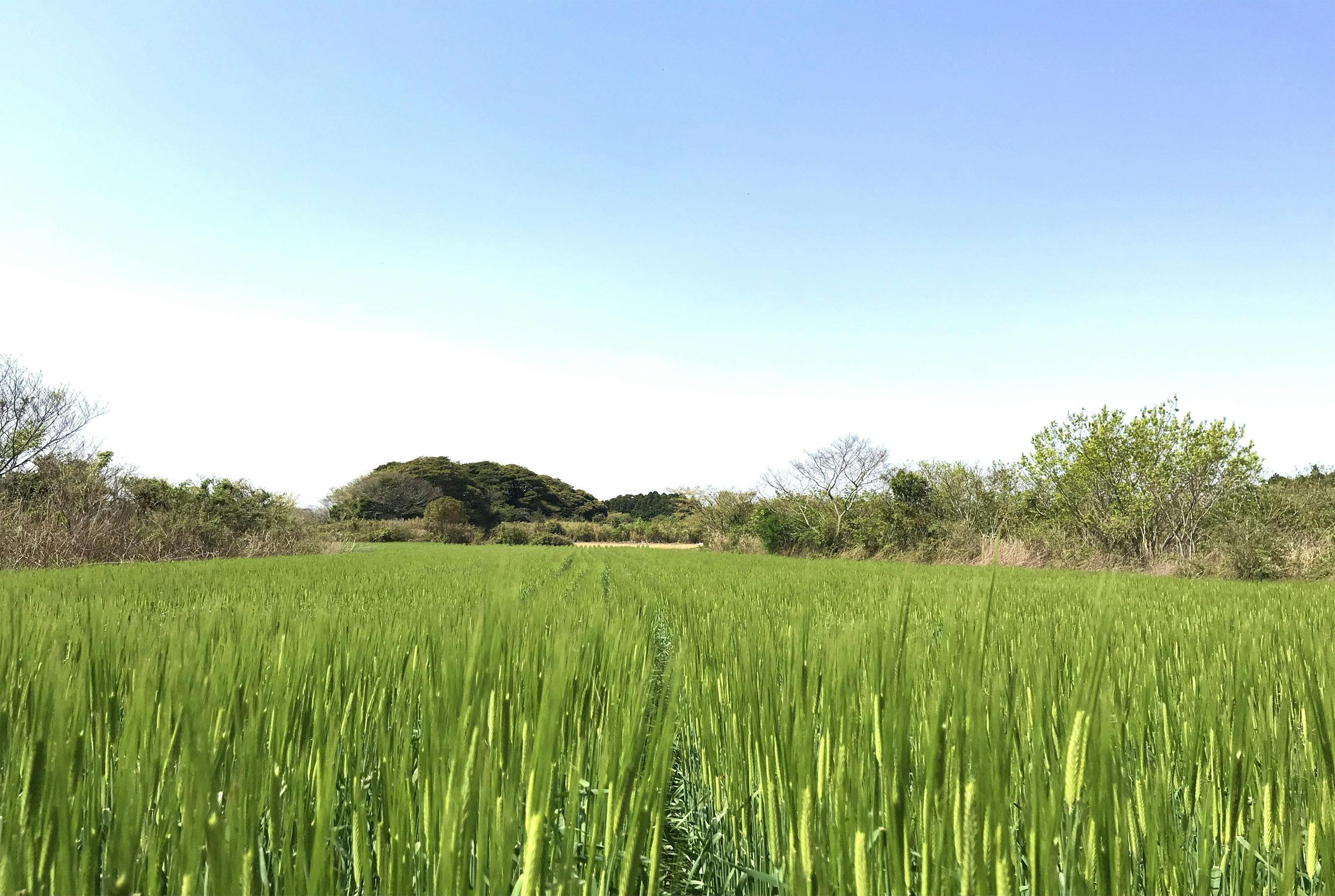 2番目のメイン画像