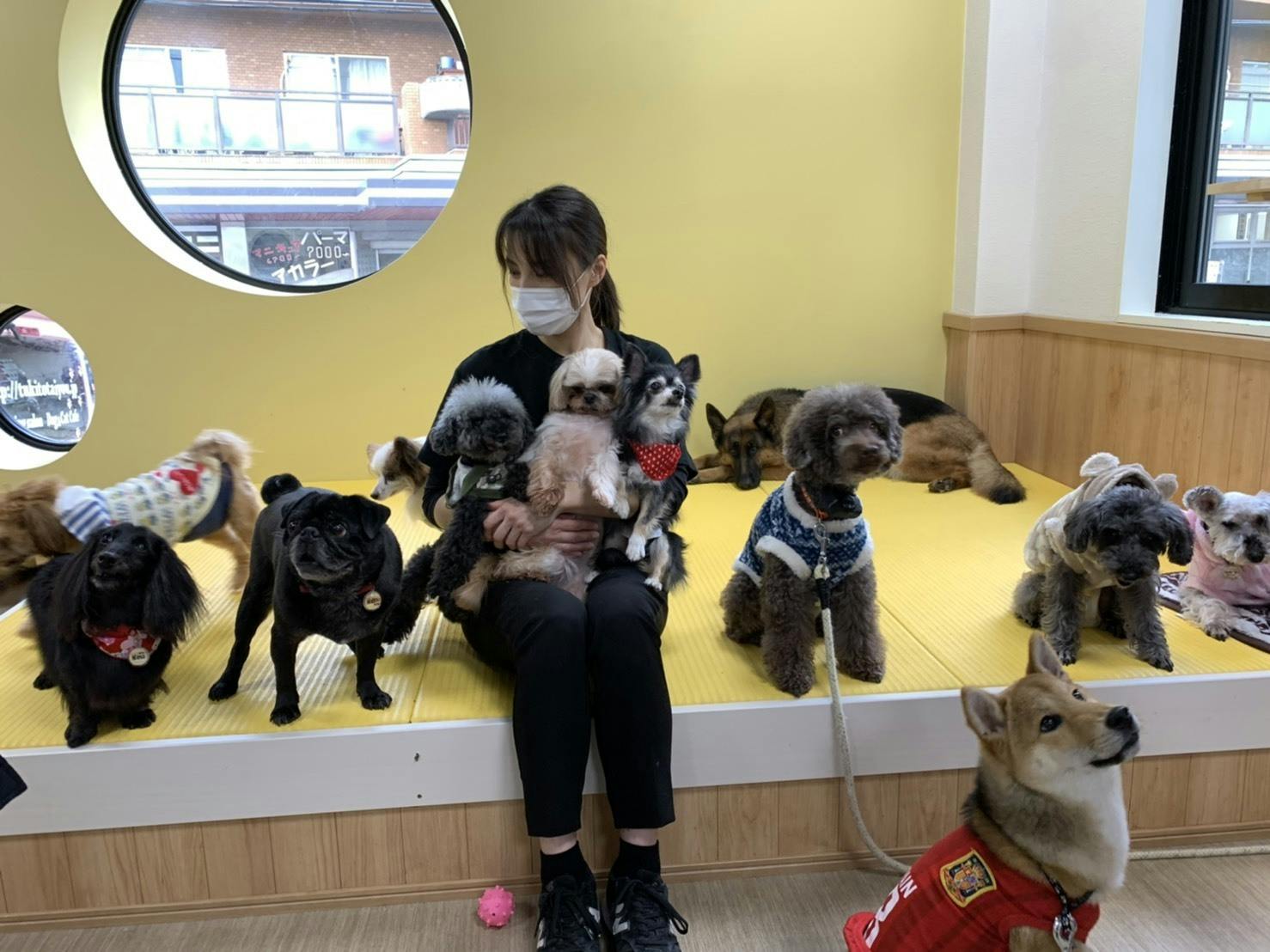 2番目のメイン画像