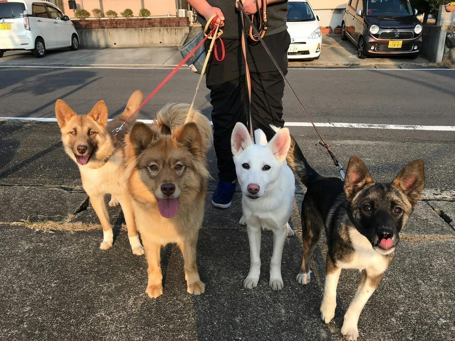 5番目のメイン画像