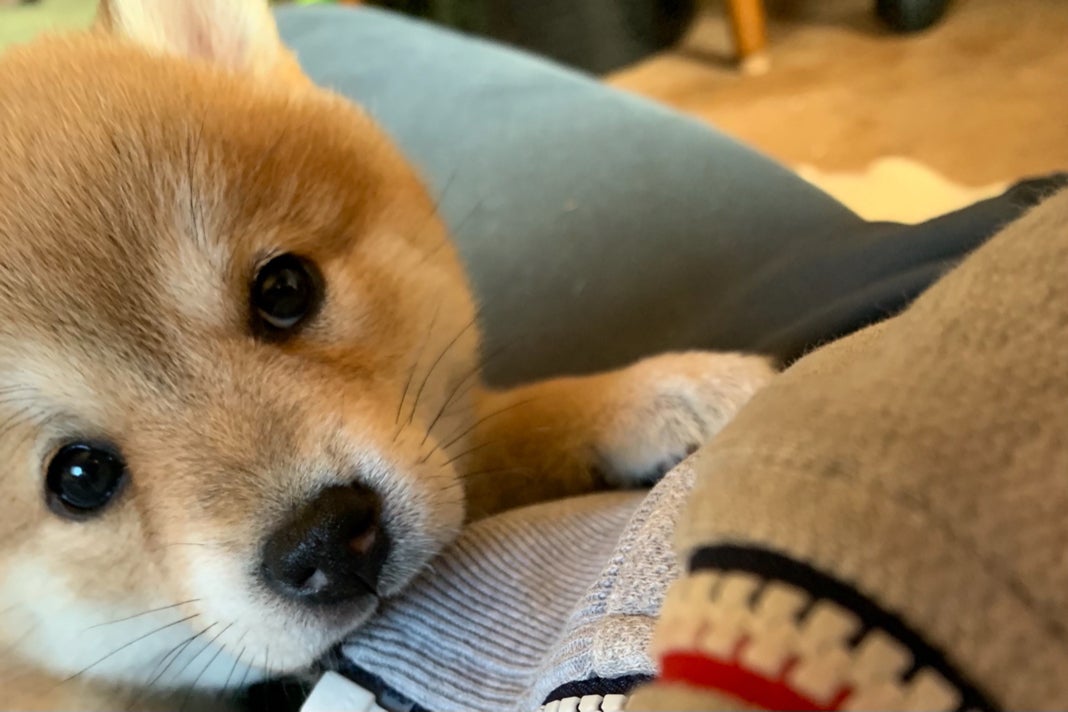 1番目のメイン画像