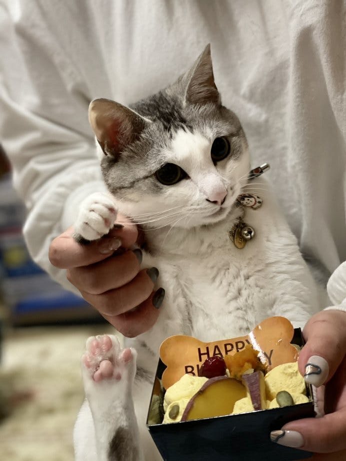 2番目のメイン画像