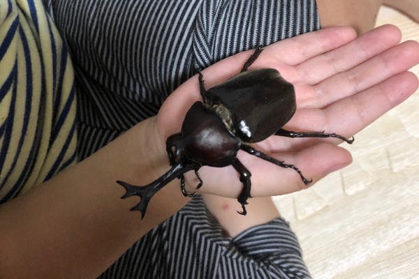 1番目のメイン画像