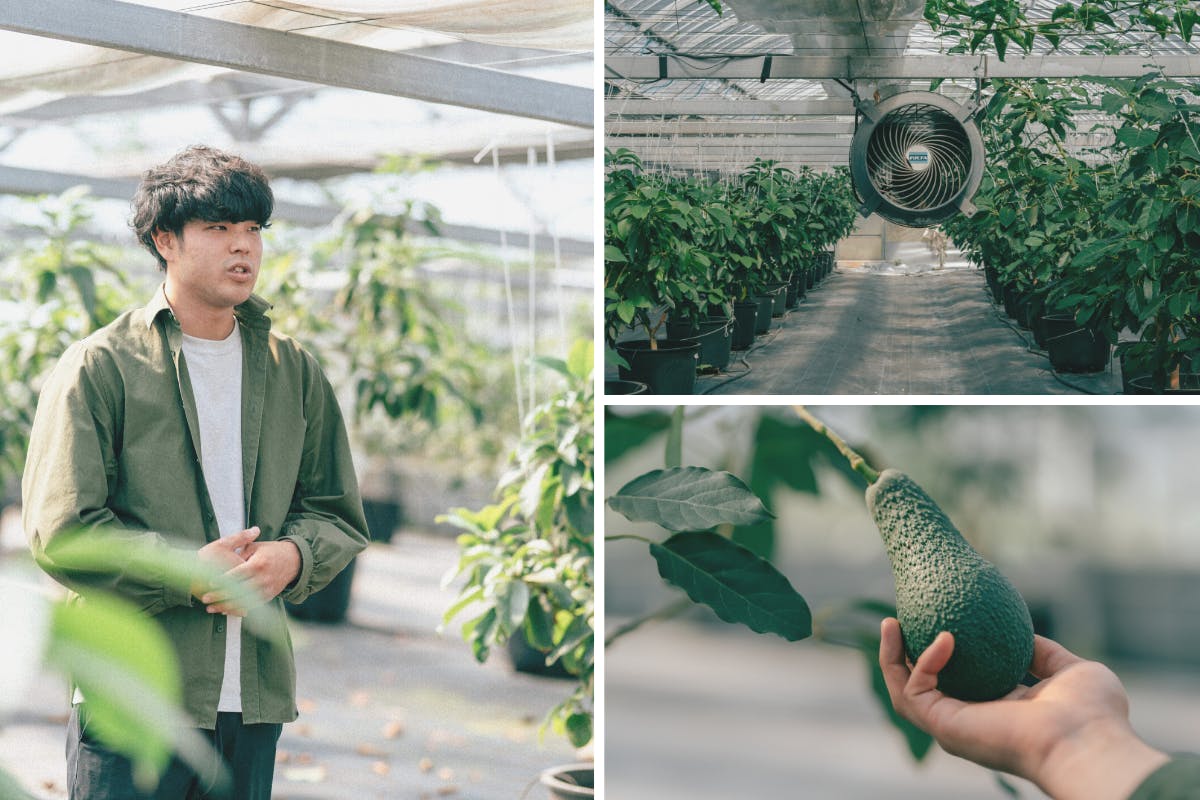 4番目のメイン画像