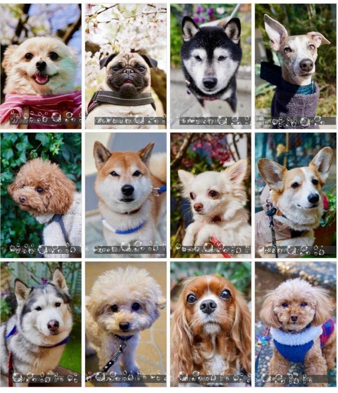 5番目のメイン画像