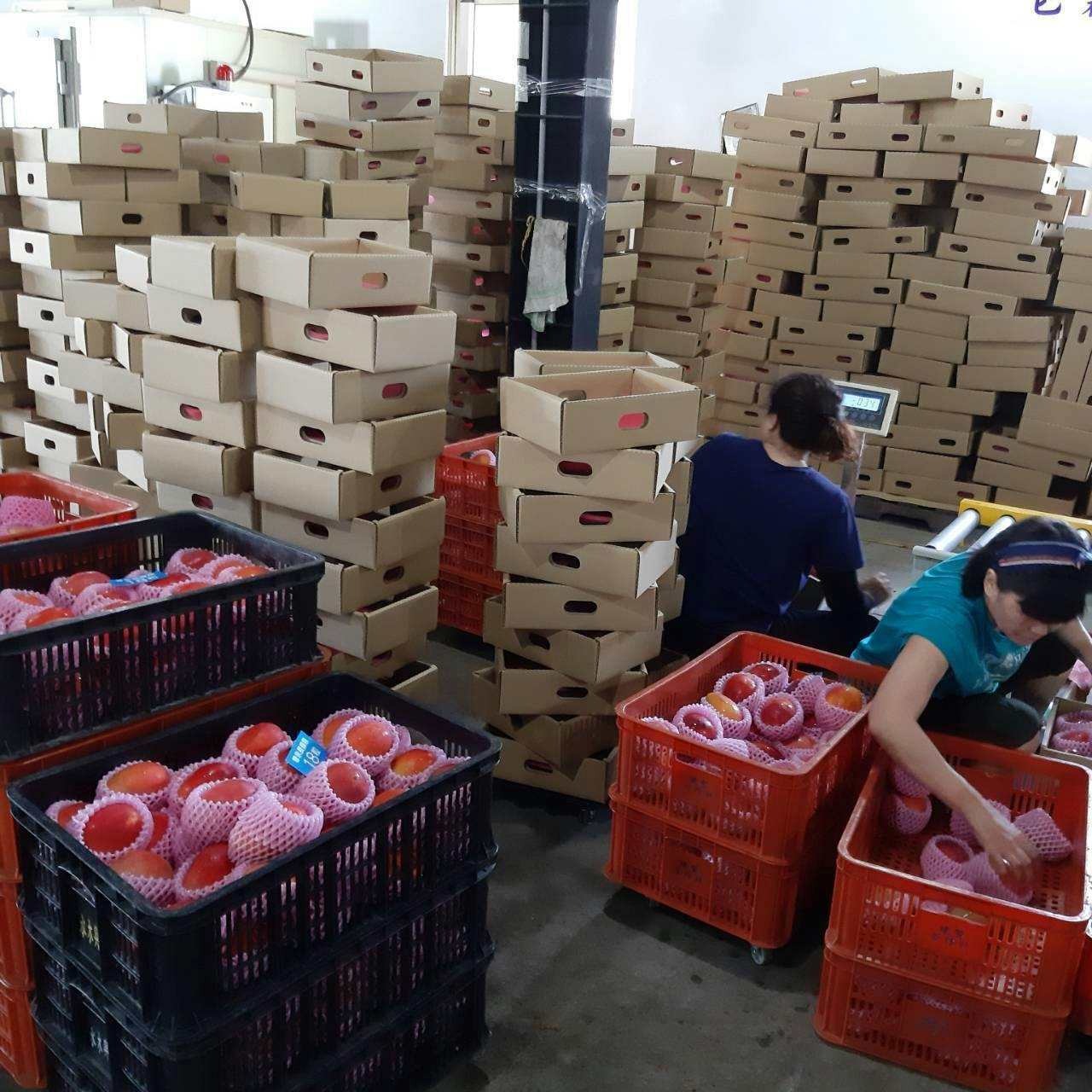 4番目のメイン画像