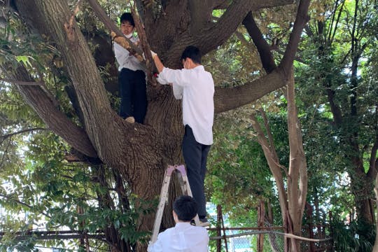 1番目のメイン画像