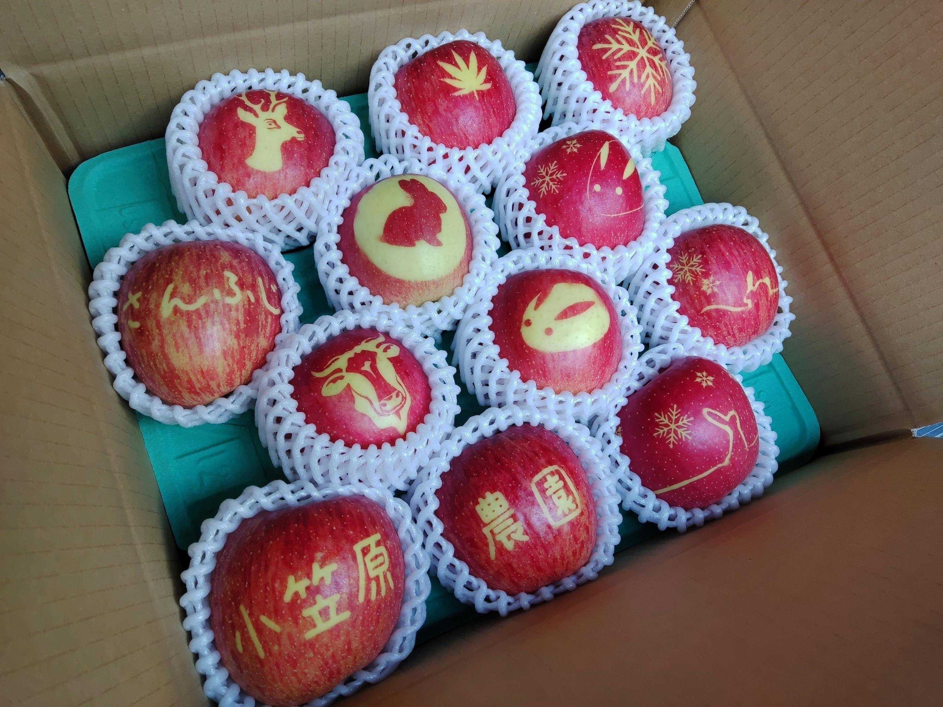 5番目のメイン画像