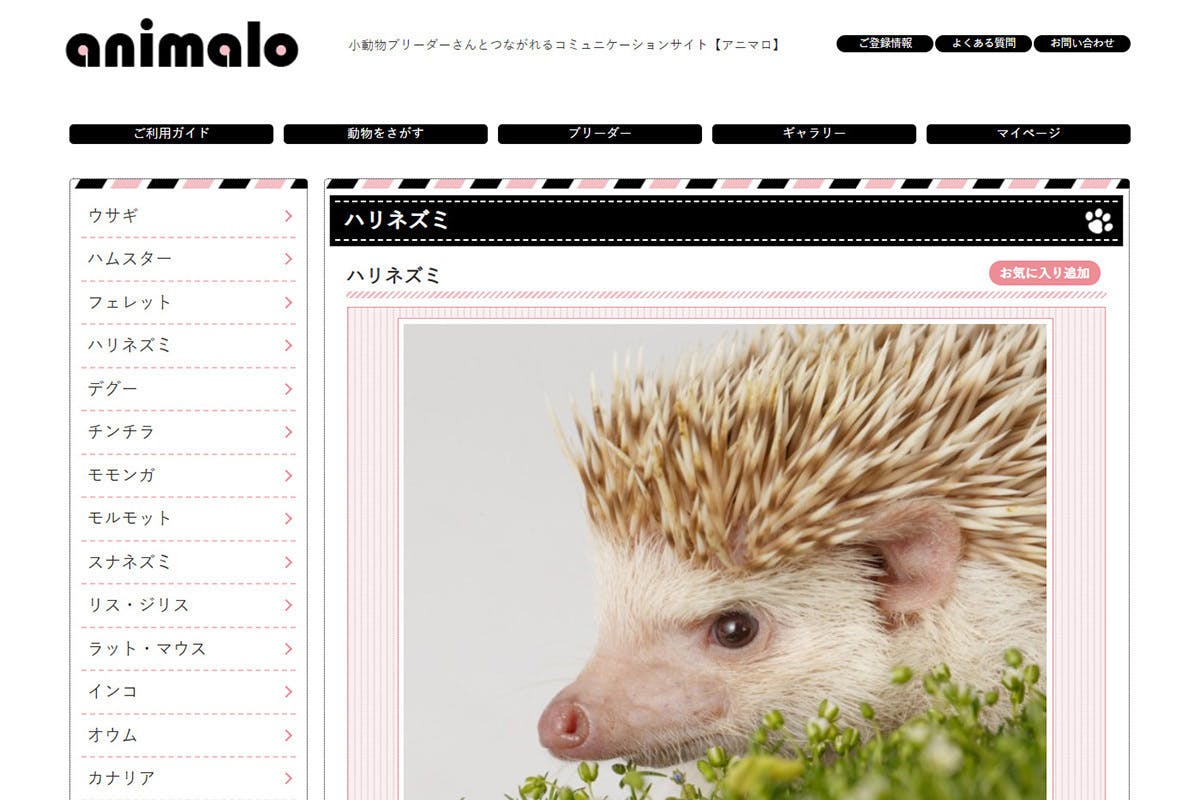 4番目のメイン画像