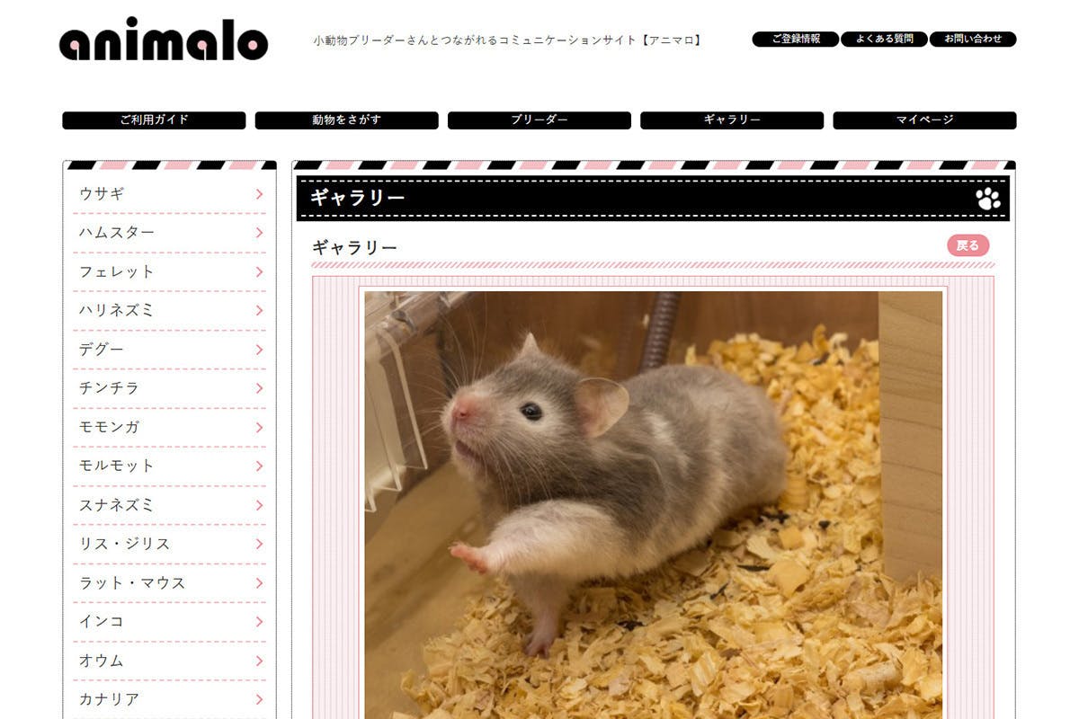 5番目のメイン画像