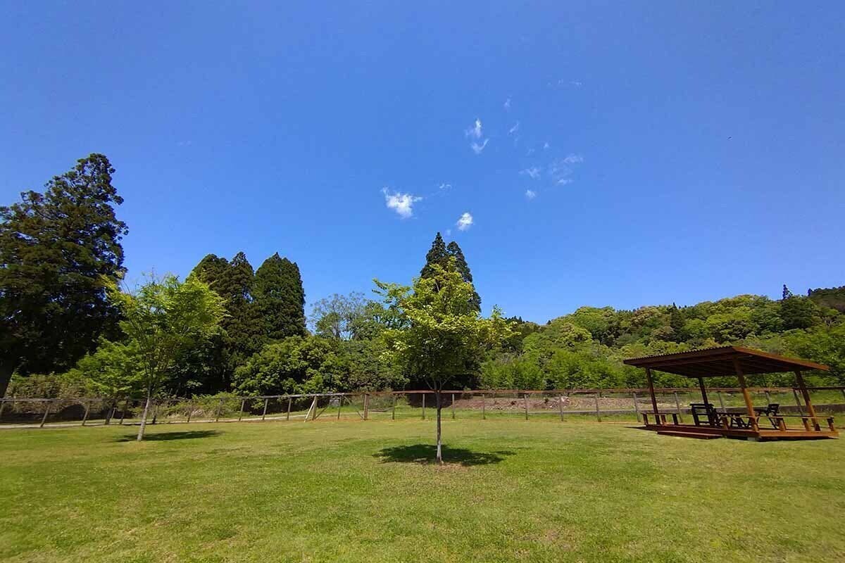 5番目のメイン画像