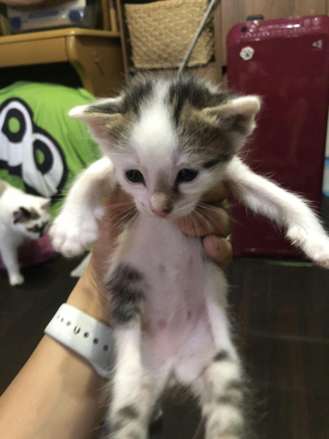 3番目のメイン画像