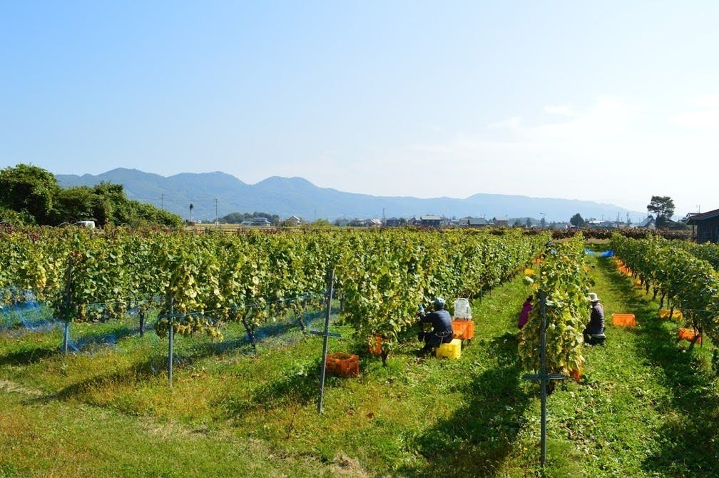 4番目のメイン画像