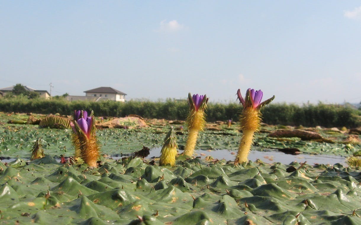 4番目のメイン画像