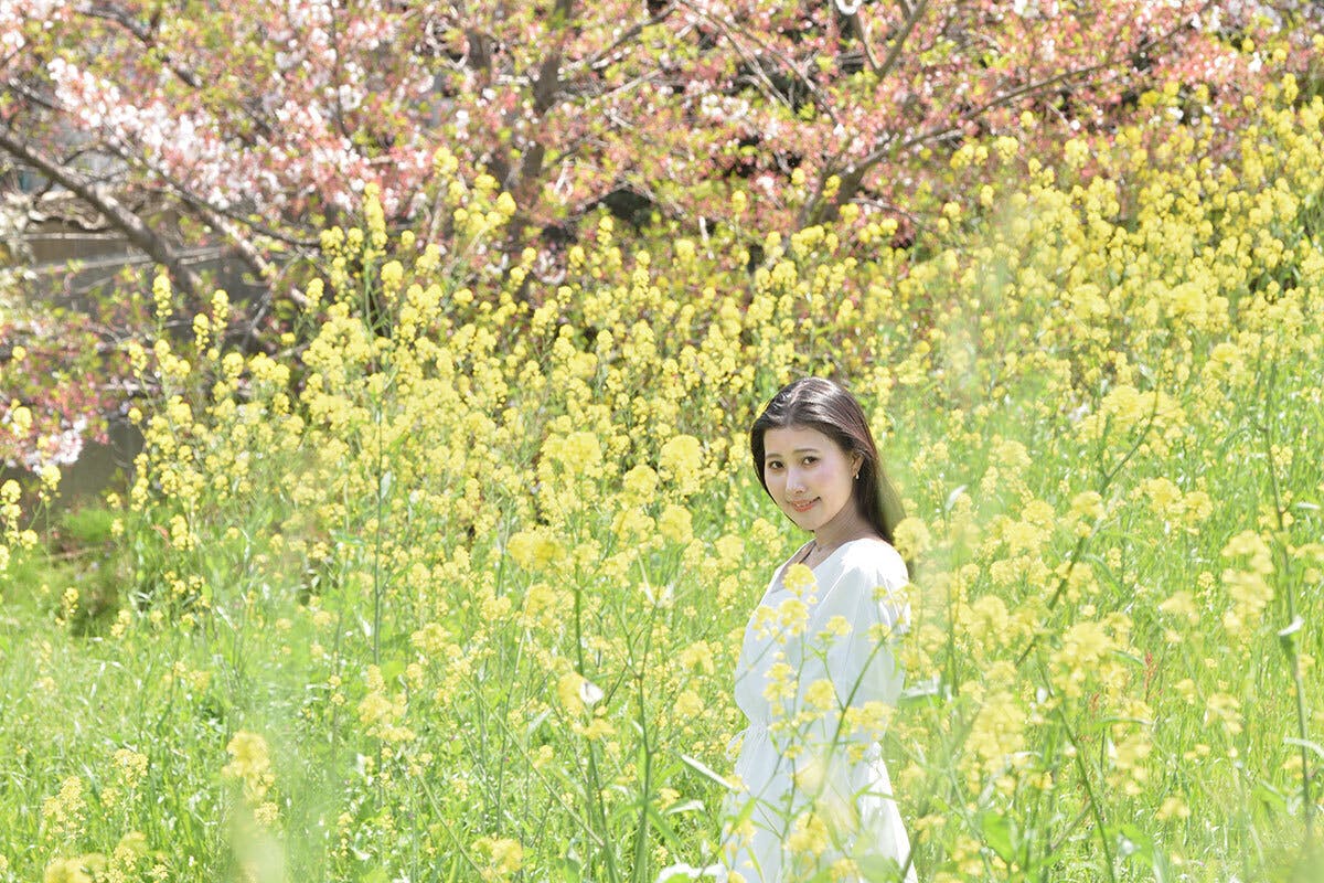 2番目のメイン画像