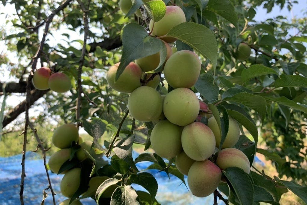 3番目のメイン画像