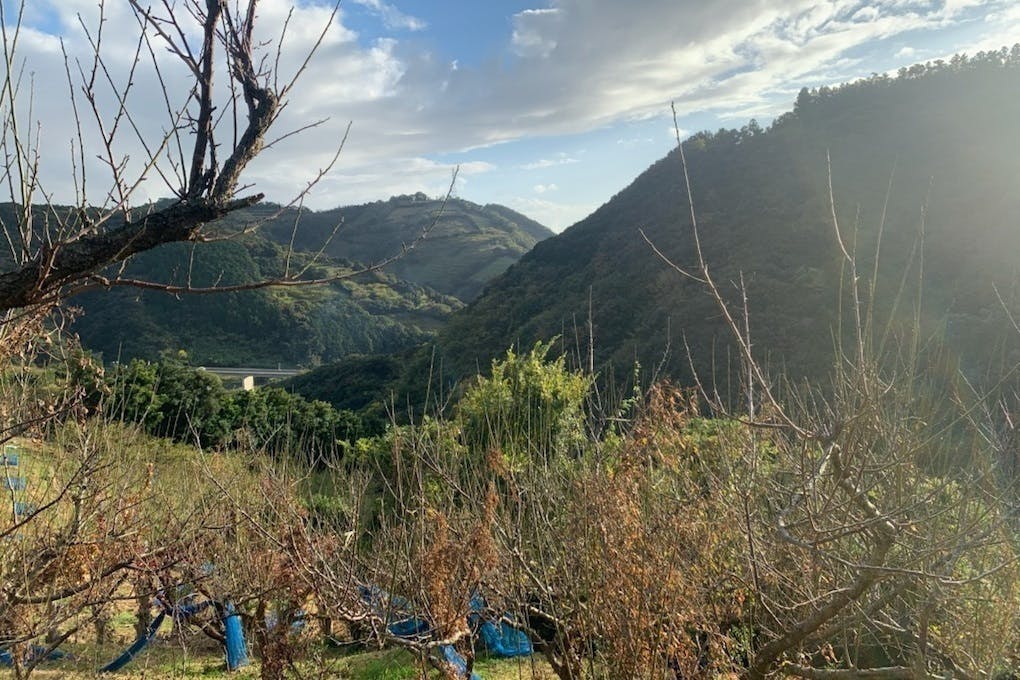 2番目のメイン画像