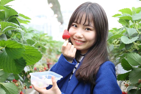 1番目のメイン画像