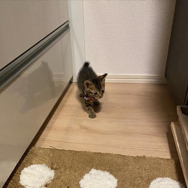 5番目のメイン画像