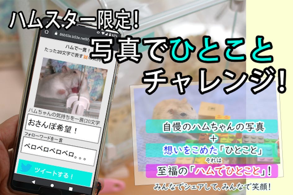 ハムスター好きが描く野望への第一歩は、写真でひとこと