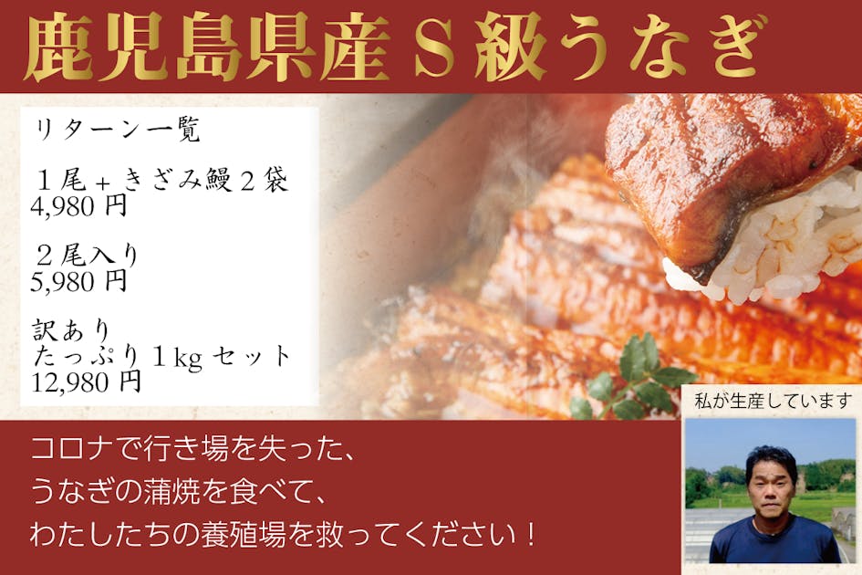 コロナで行き場を失った国産極上うなぎを蒲焼に加工してお安くお届け