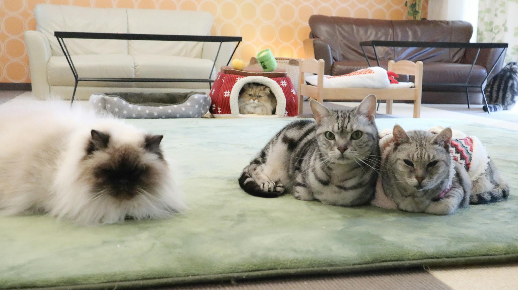 2番目のメイン画像