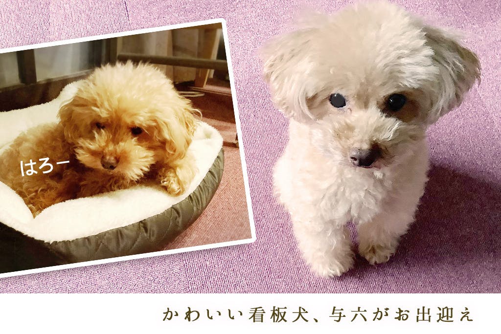 5番目のメイン画像