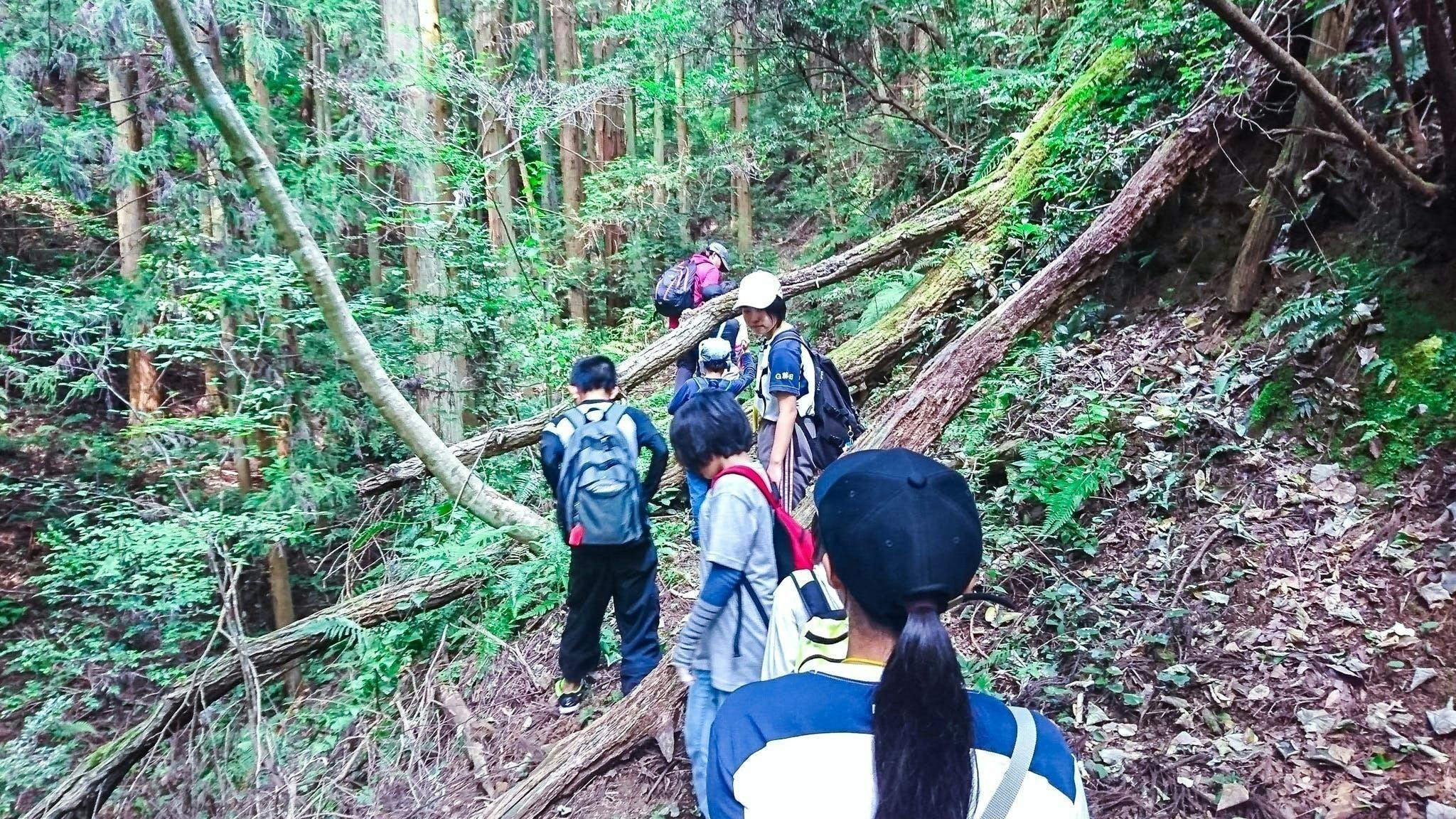 3番目のメイン画像