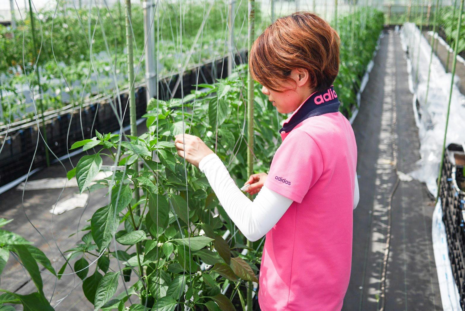 2番目のメイン画像