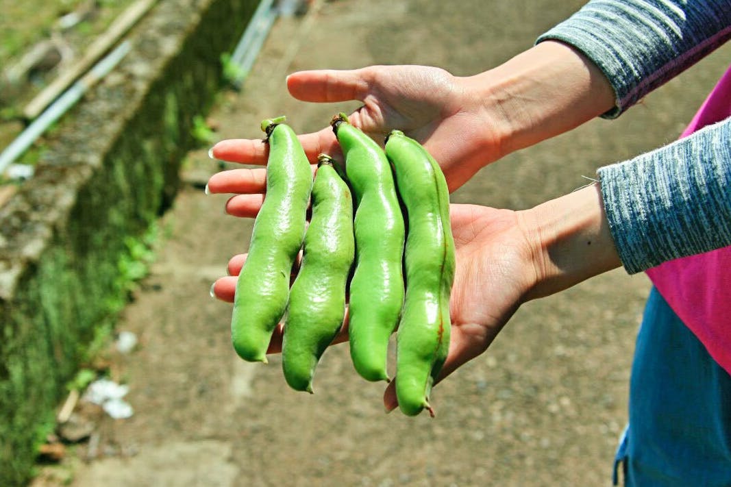 5番目のメイン画像