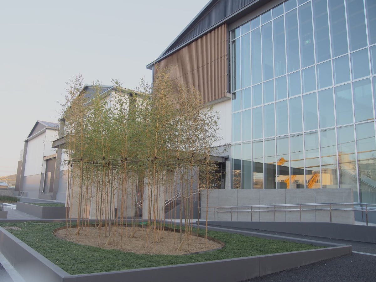 5番目のメイン画像