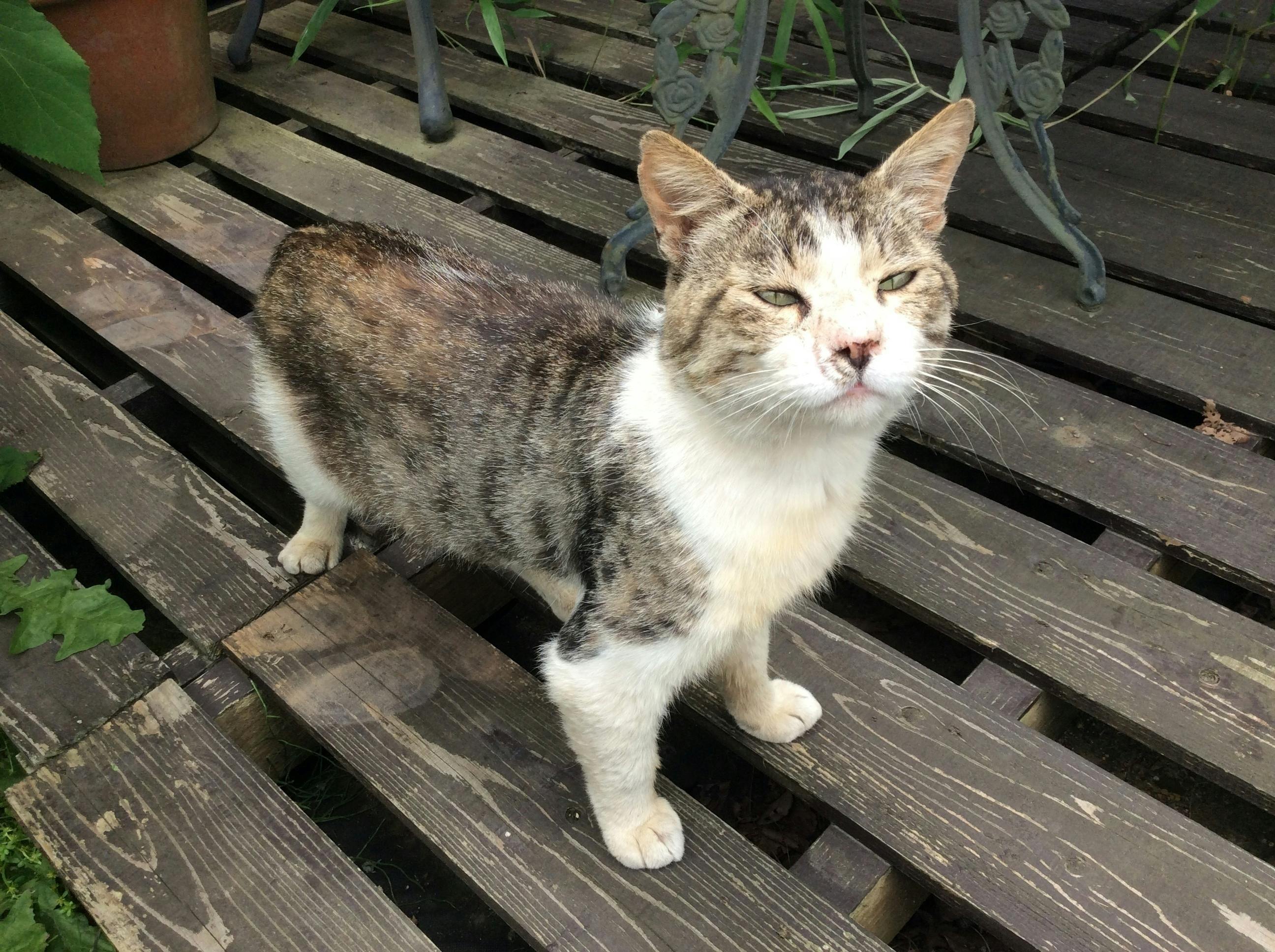 4番目のメイン画像