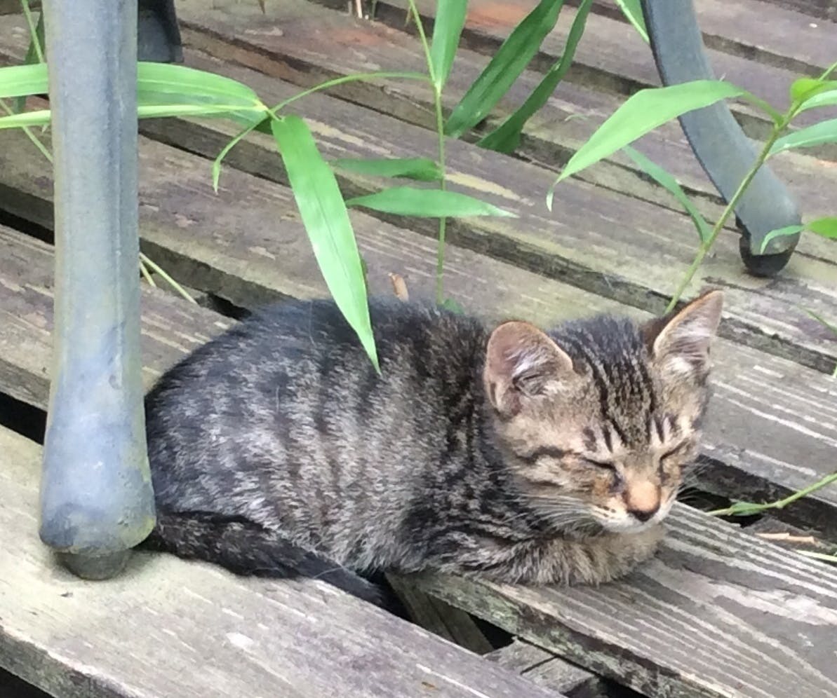 2番目のメイン画像