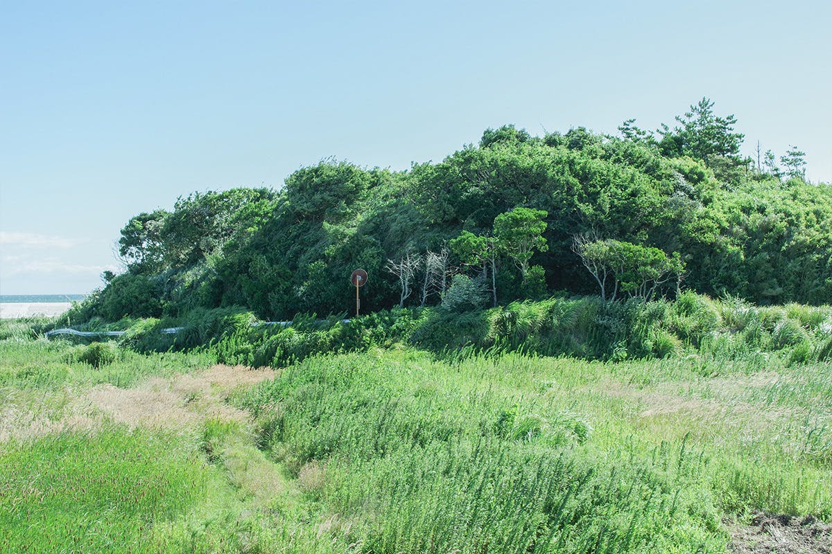 3番目のメイン画像