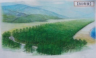 5番目のメイン画像