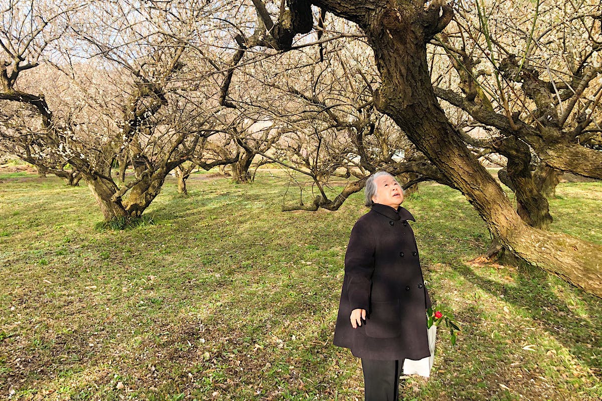 2番目のメイン画像