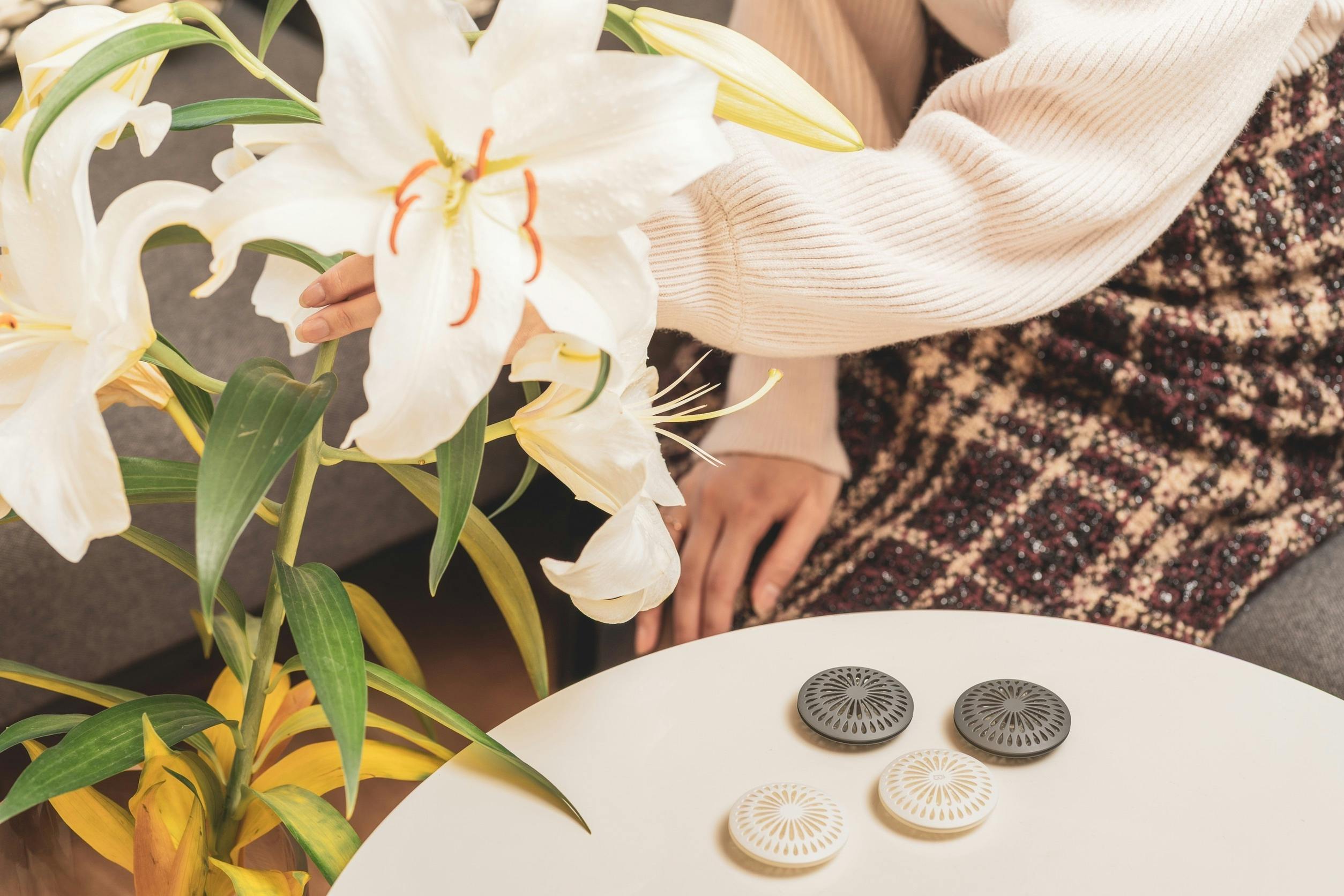 5番目のメイン画像