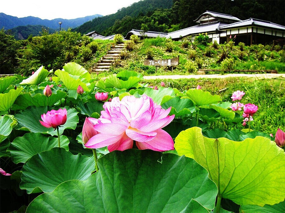 3番目のメイン画像