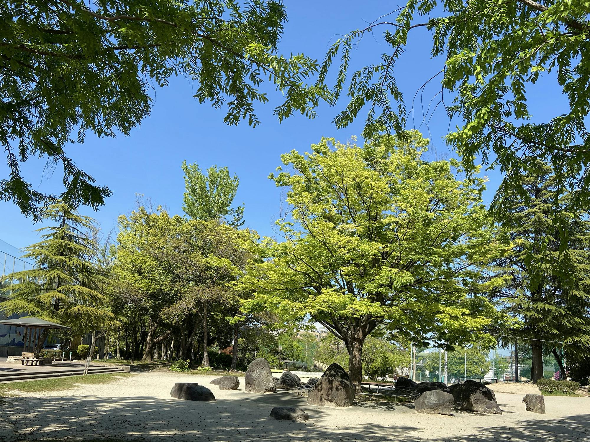 3番目のメイン画像