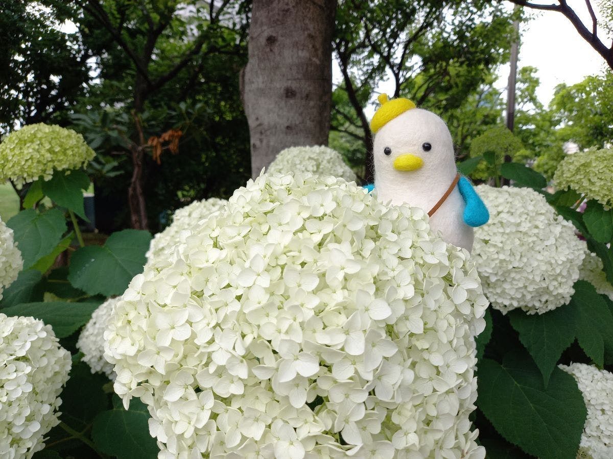 5番目のメイン画像