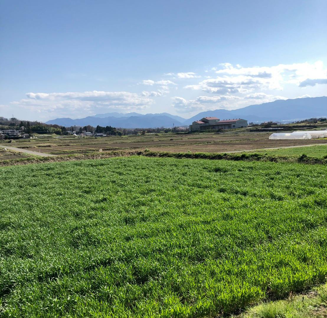 5番目のメイン画像