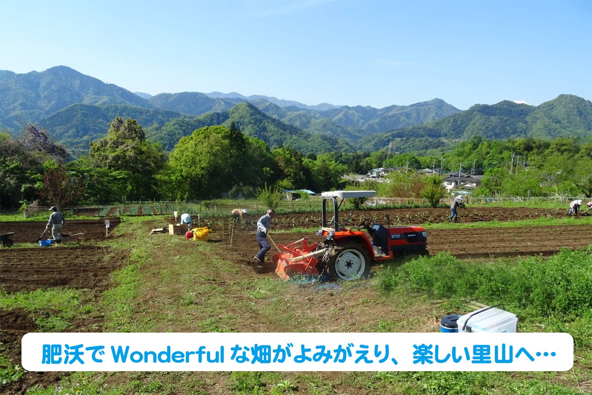 5番目のメイン画像