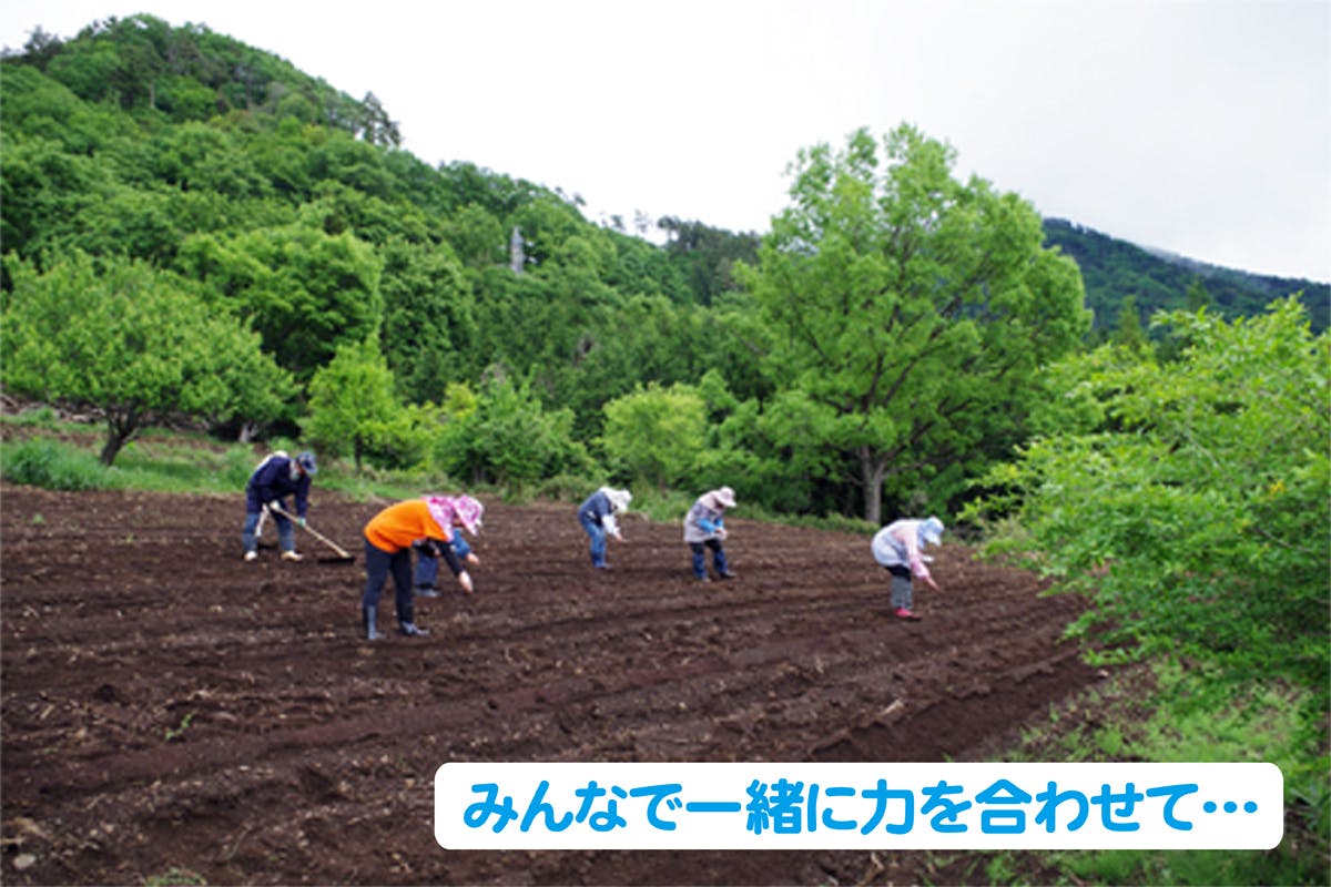 2番目のメイン画像