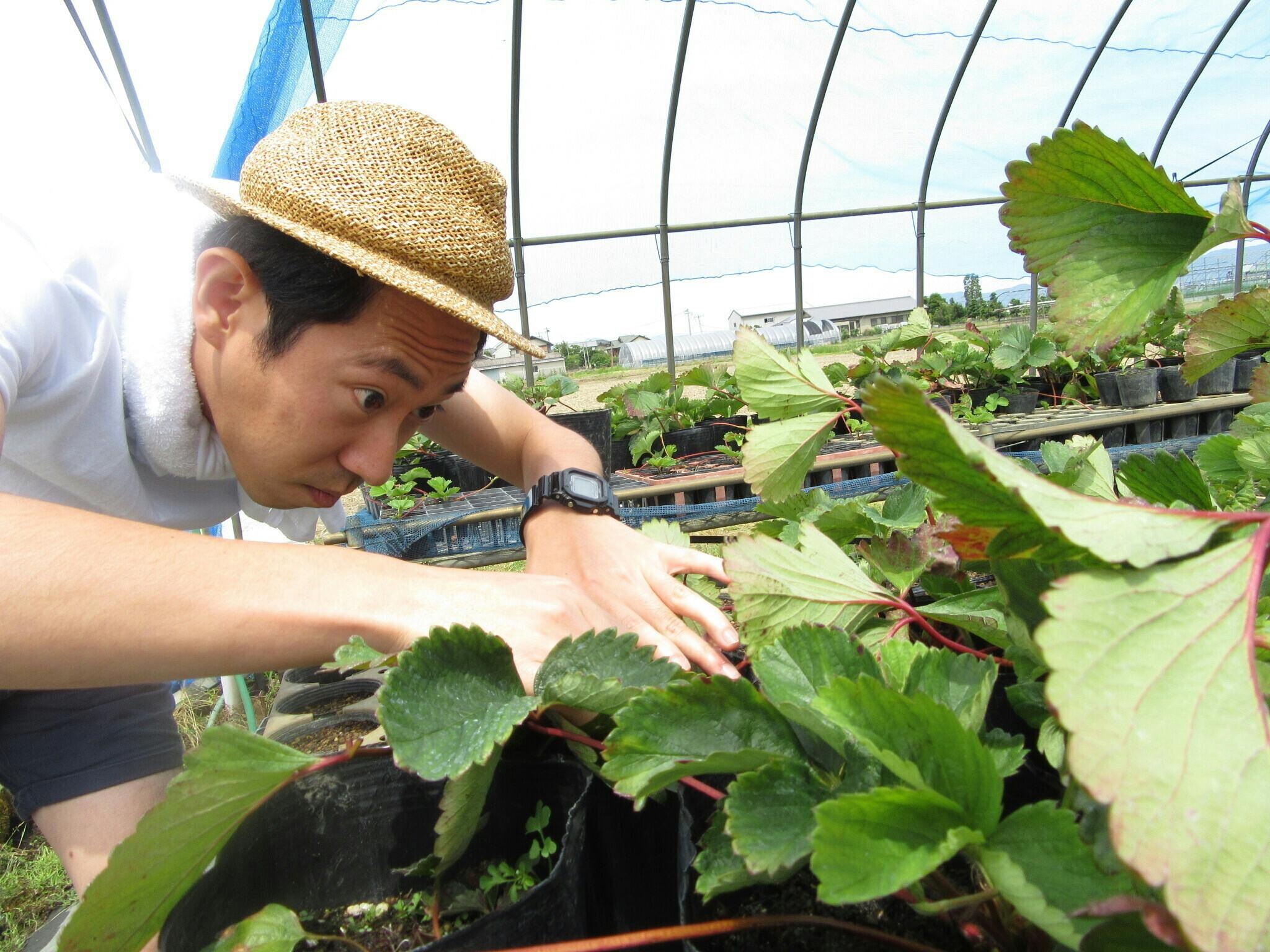 3番目のメイン画像